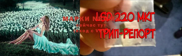 молекула духа Гусиноозёрск