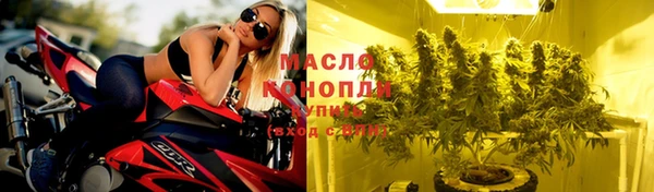 молекула духа Гусиноозёрск