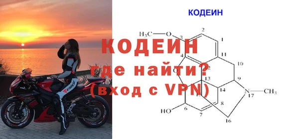 PSILOCYBIN Гусев