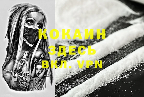 PSILOCYBIN Гусев