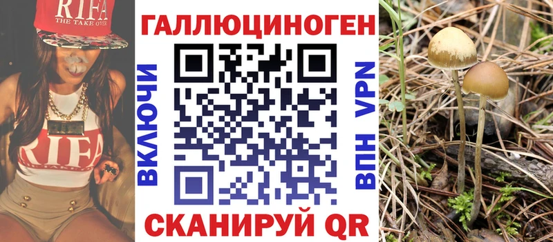 Псилоцибиновые грибы прущие грибы  Купить  Новоузенск 